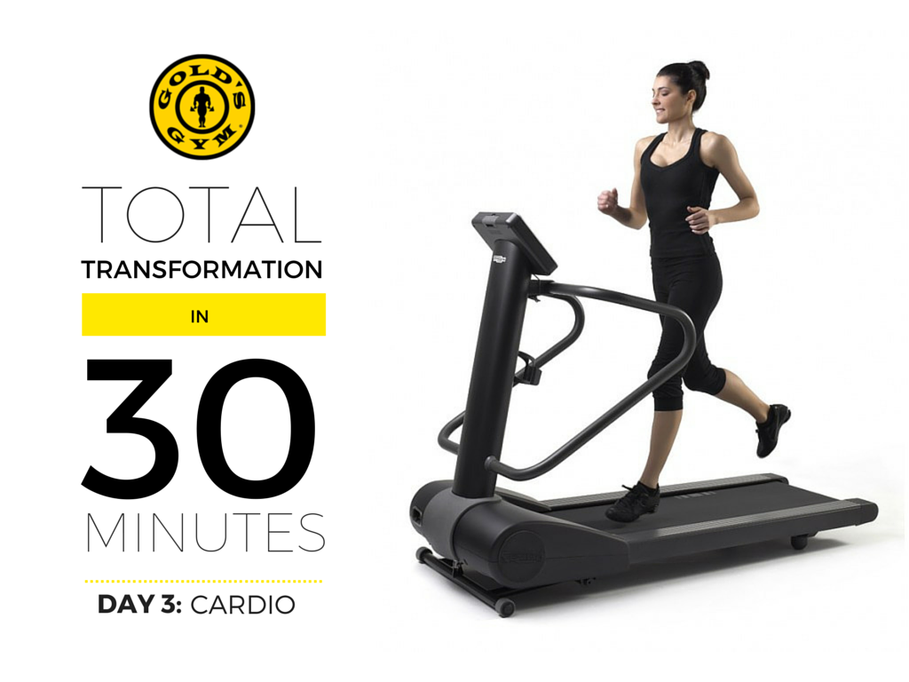 Gold's gym total body training best sale