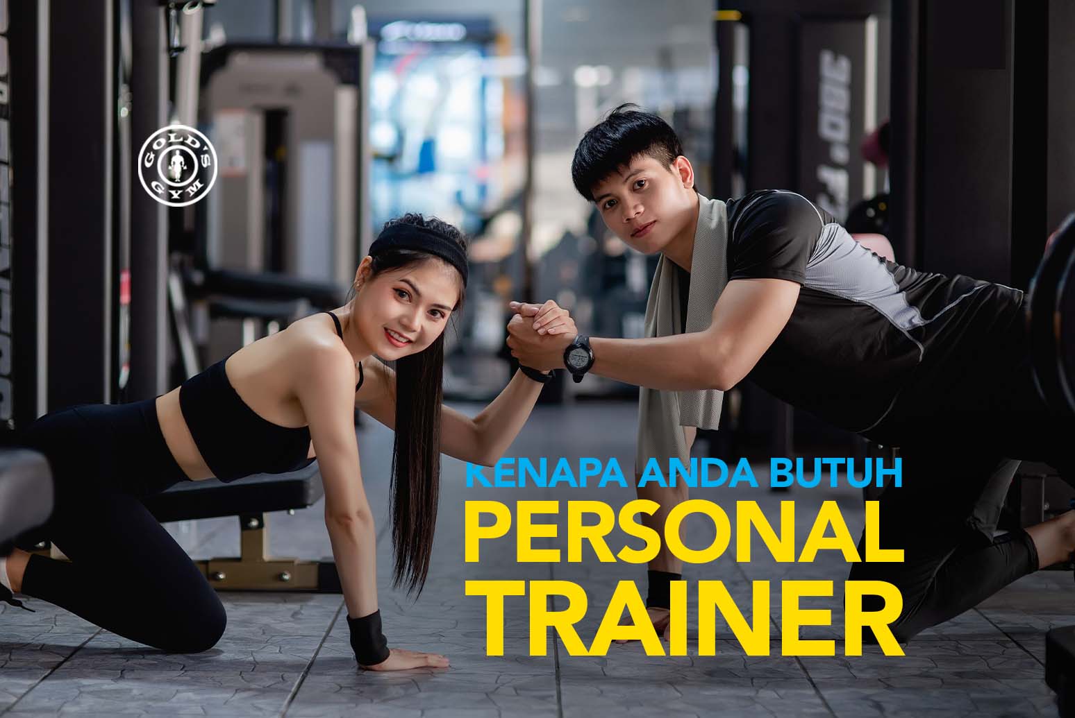 Gold's gym total body training best sale
