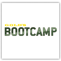 Gold's Bootcamp