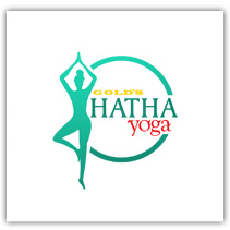 Hatha Yoga (Aero)