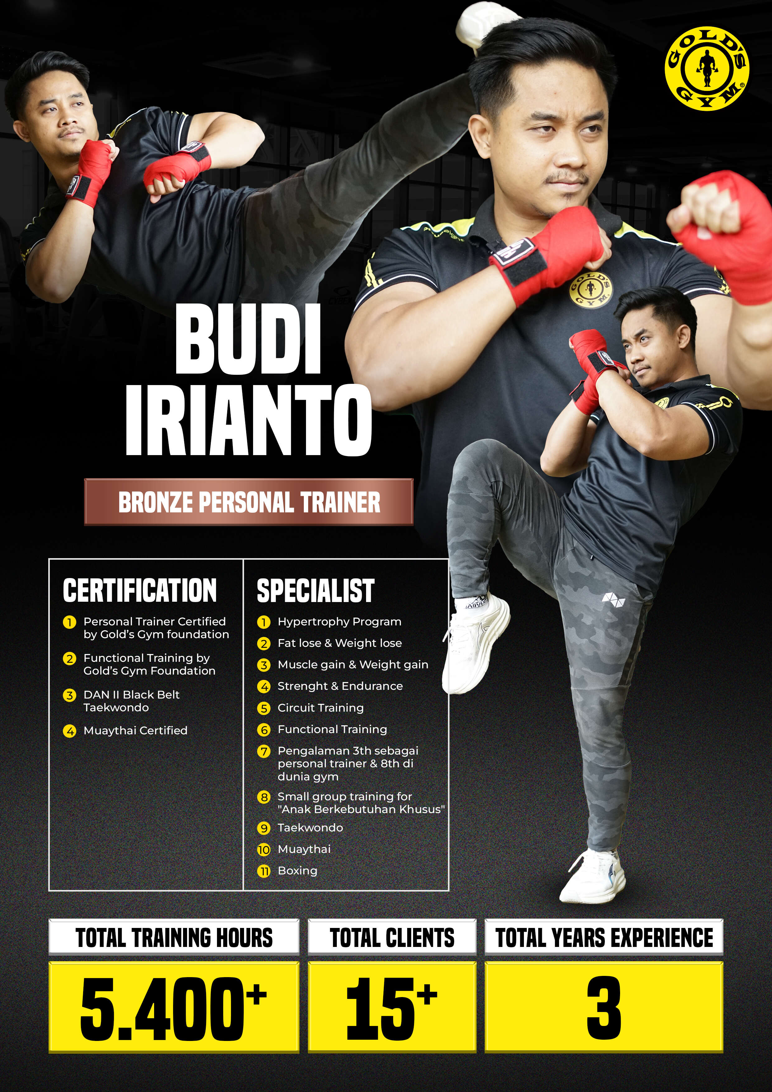 BUDI IRIANTO                  